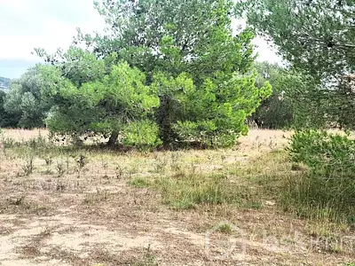 Terrain, 1 350 m²