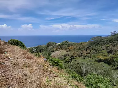 Terrain, 827 m²