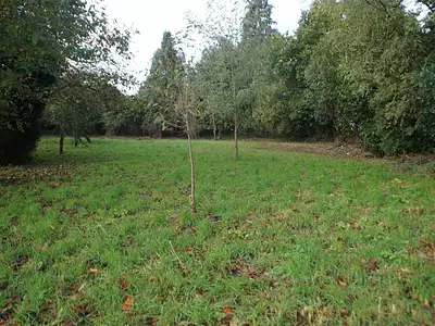Terrain, 1 000 m²