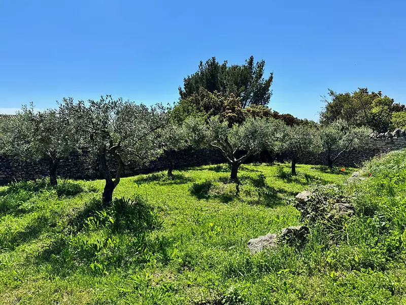 Maison, 240 m²