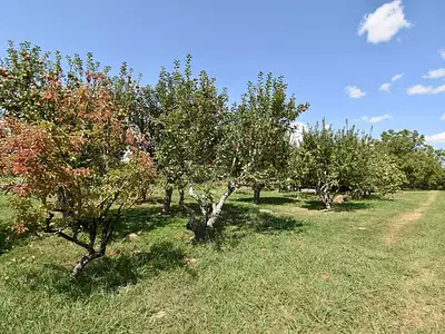 Maison, 159 m²