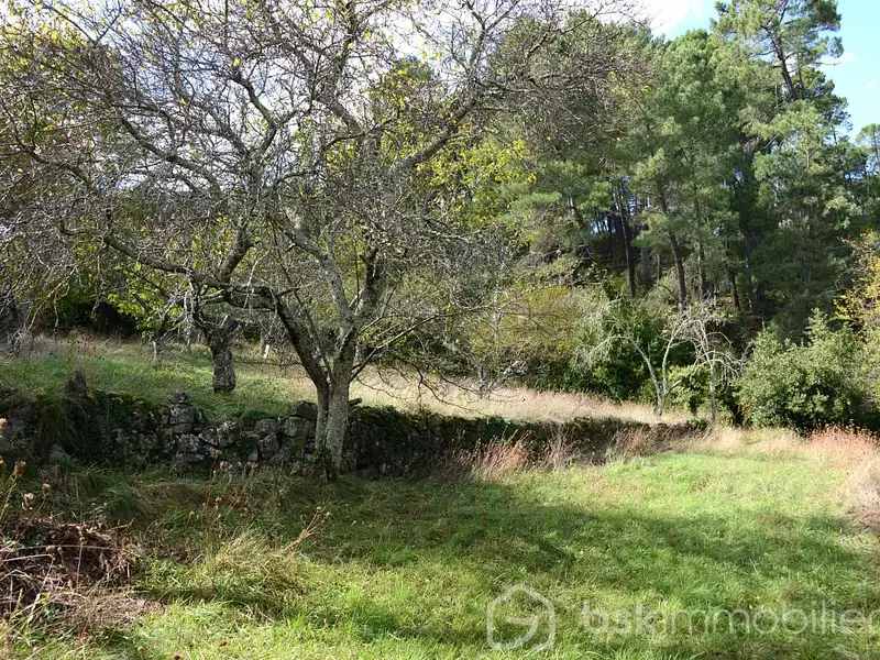Terrain, 4 806 m²