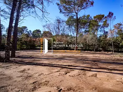 Maison, 175 m²