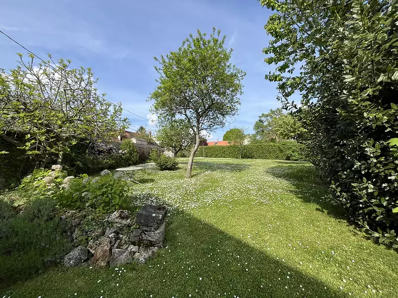 Terrain, 597 m²