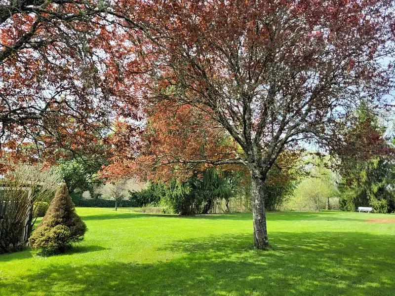 Maison, 470 m²