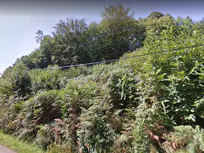 Terrain, 13 080 m²