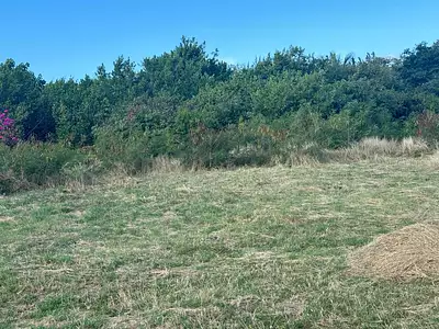 Terrain, 10 625 m²