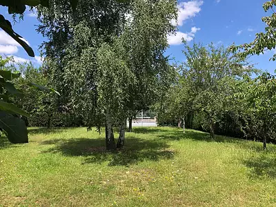 Terrain, 556 m²