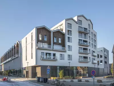 L’OASIS