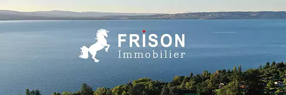Frison Immobilier