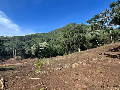 Terrain, 1 600 m²
