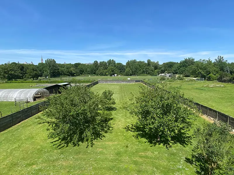 Maison, 300 m²