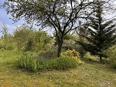 Maison, 160 m²