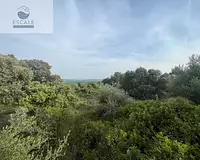Terrain, 6 091 m²