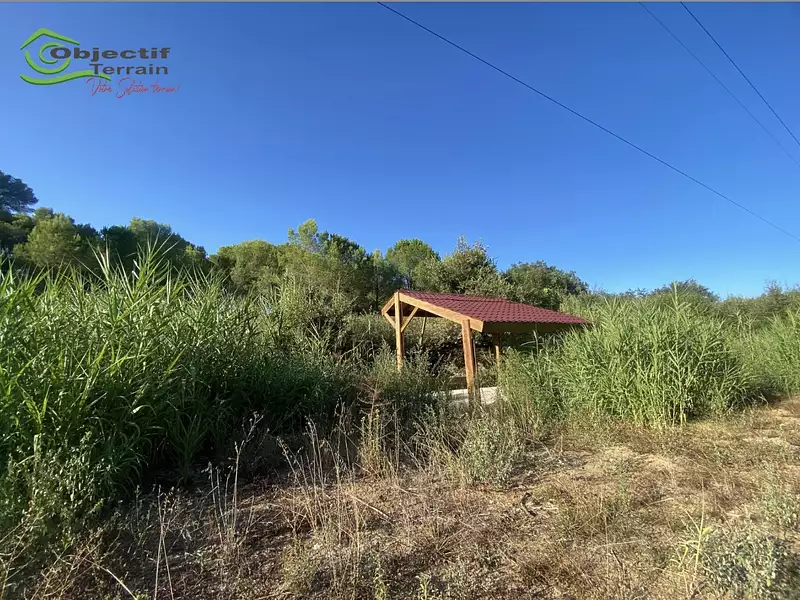 Terrain, 3 705 m²