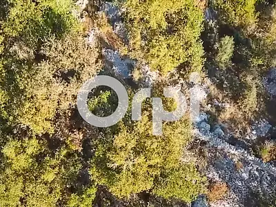 Terrain, 36 920 m²