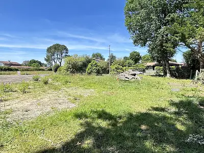 Terrain