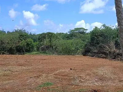 Terrain, 4 764 m²
