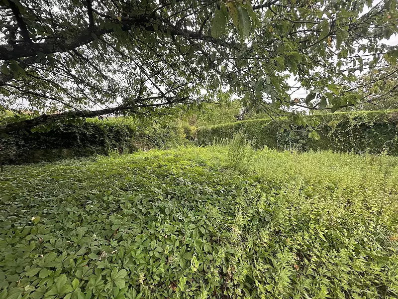 Maison, 160 m²