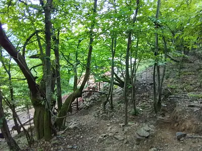 Terrain, 76 539 m²
