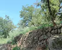 Terrain, 785 m²
