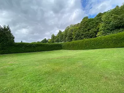 Terrain, 895 m²