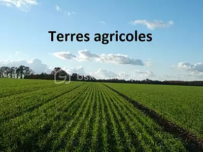 Terrain, 100 000 m²