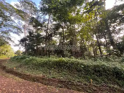 Terrain, 955 m²