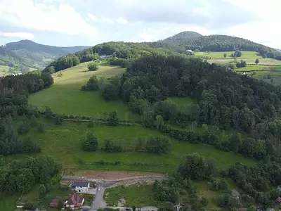 Les Erables