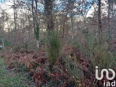 Terrain, 13 000 m²