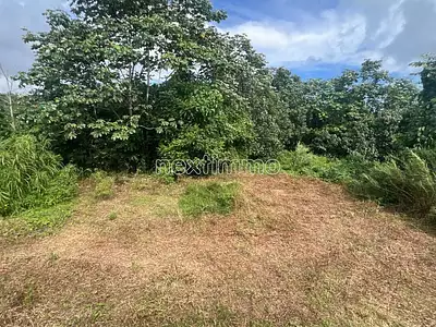 Terrain, 1 274 m²