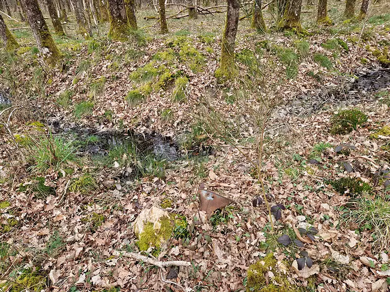 Terrain, 22 911 m²