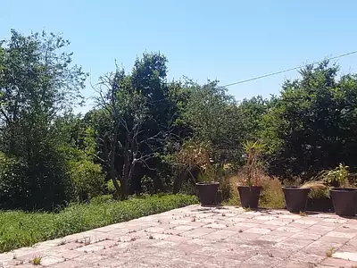 Maison, 54 m²