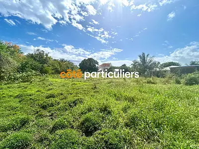 Terrain, 5 000 m²