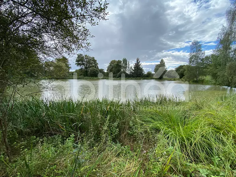 Terrain, 25 228 m²
