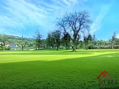 Terrain, 1 732 m²