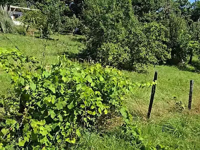 Maison, 70 m²