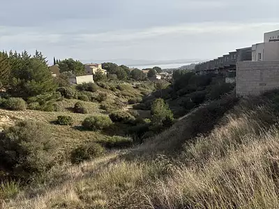 Terrain, 1 591 m²