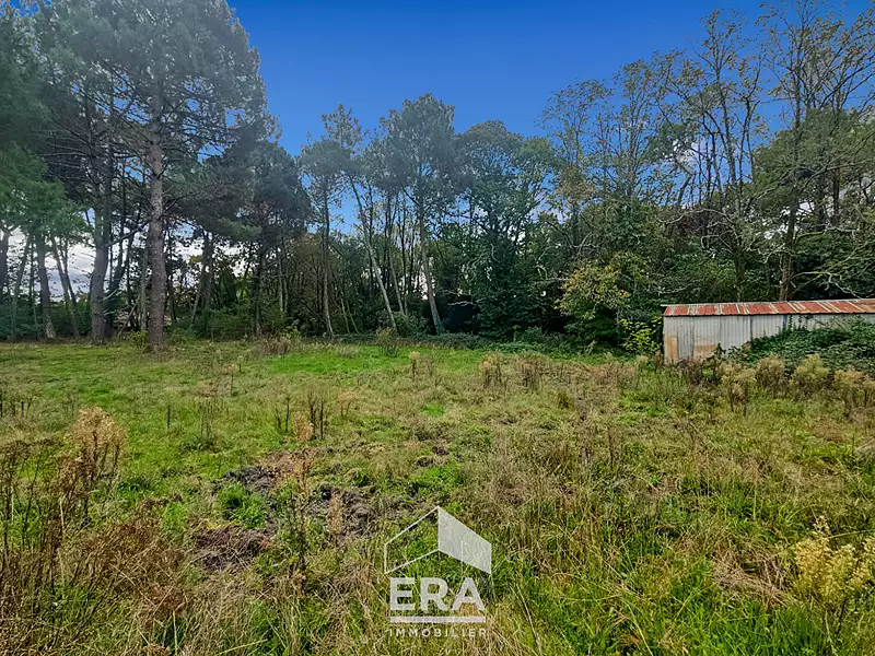 Terrain, 606 m²