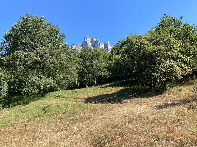 Terrain, 1 268 m²