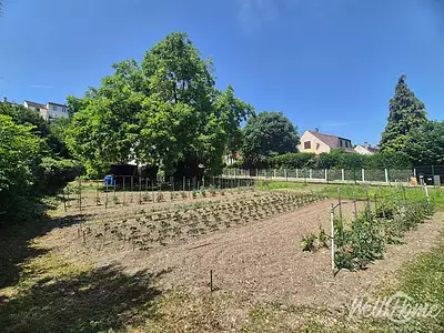 Terrain, 921 m²