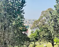 Appartement, 55,26 m²