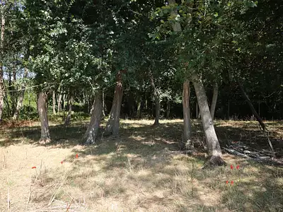 Terrain, 7 747 m²