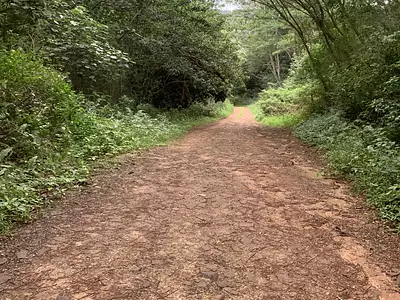 Terrain, 3 035 m²