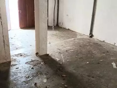 Maison, 58 m²