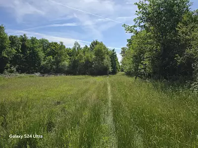 Terrain, 231 782 m²