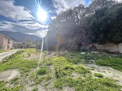 Terrain, 2 259 m²