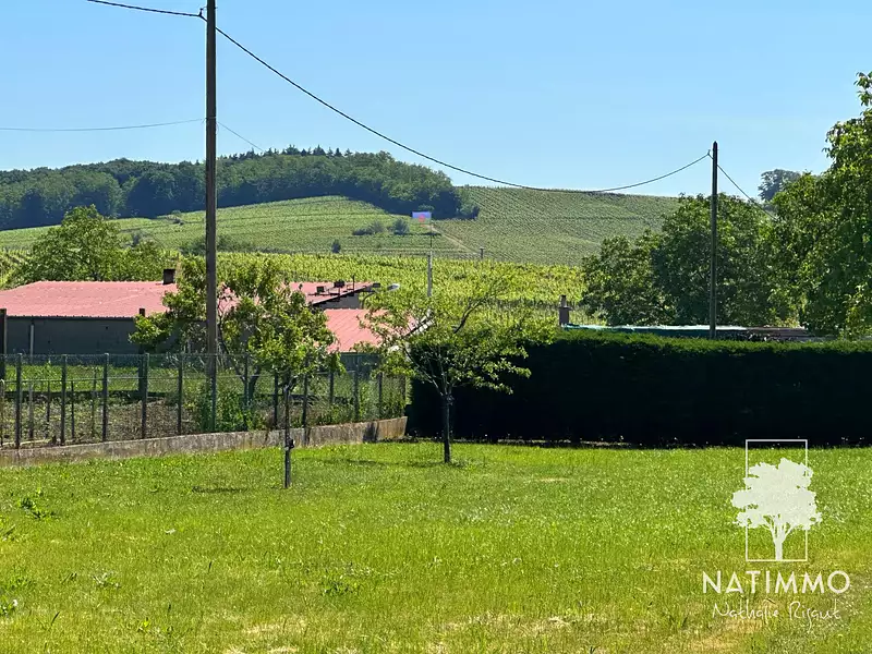 Terrain, 559 m²