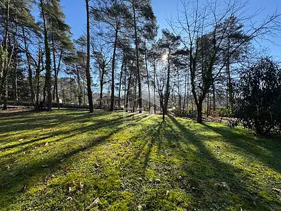Terrain, 1 500 m²