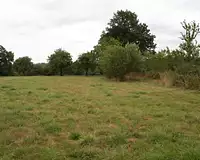 Terrain, 1 100 m²